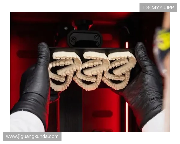 亚博YaBo真人国际：丰富的真人娱乐项目满足不同玩家的多样需求