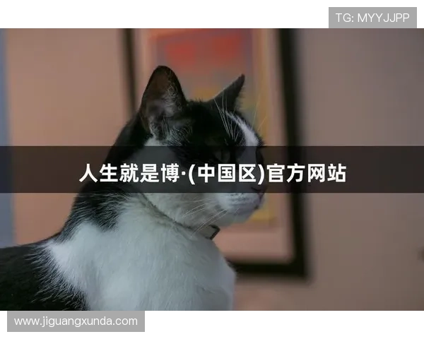 尊龙人生就是博首页介绍：丰富的游戏内容与玩家互动体验分析